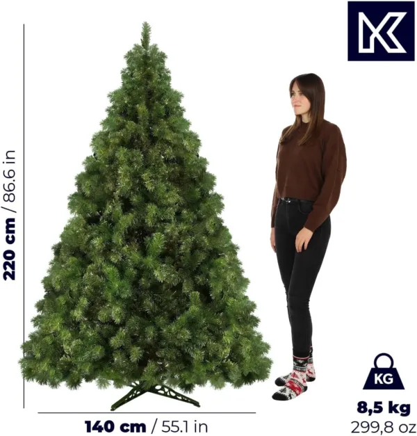TFKqiBL AC SL jpg