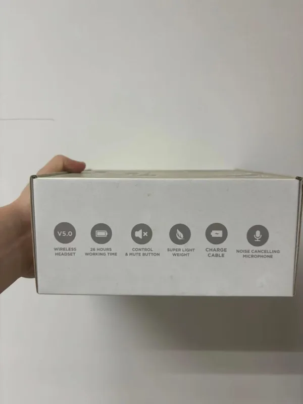 OnOrGXL AC SL jpg