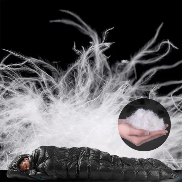 KhxaEyHL AC SL jpg