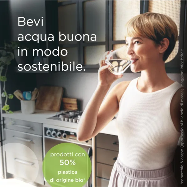 BEePhL AC SL jpg