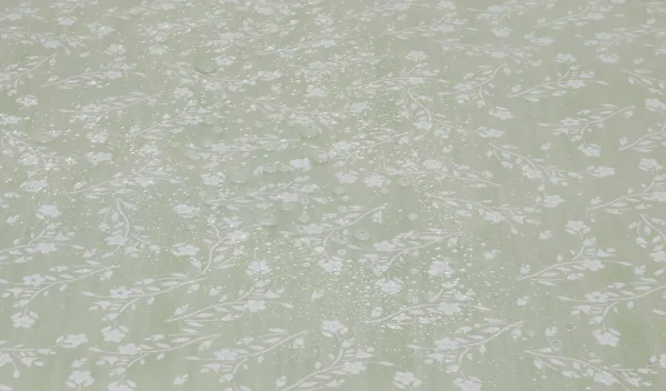 deiZVnL AC SL jpg