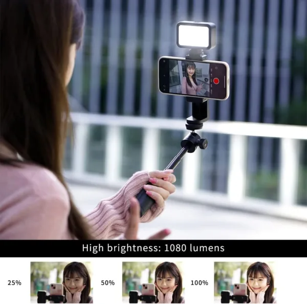 lmsv LQL AC SL jpg