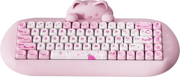 skBoxZL AC SL jpg