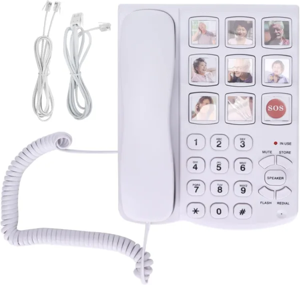 ddvecTxL AC SL jpg