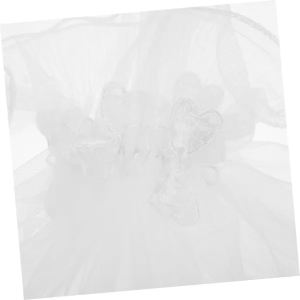 QGSIdL AC SL jpg