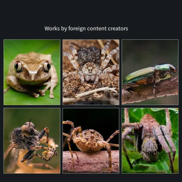 yIAQD L AC SL jpg