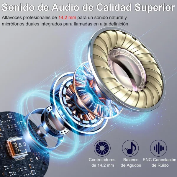 SQdibL AC SL jpg