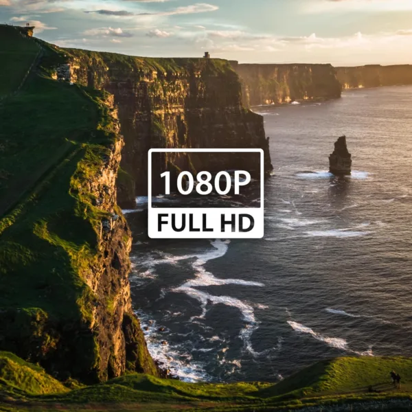 Dvq qxL AC SL jpg