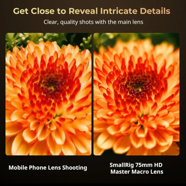 IdlZQOtSL AC SL jpg