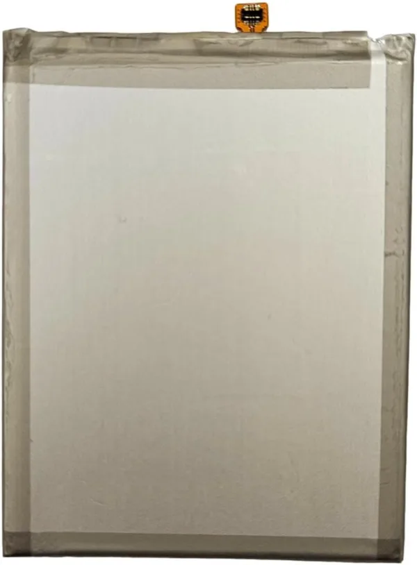 BOK ZL AC SL jpg