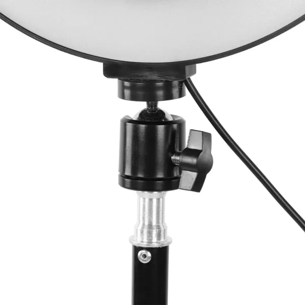 hFP fL AC SL jpg