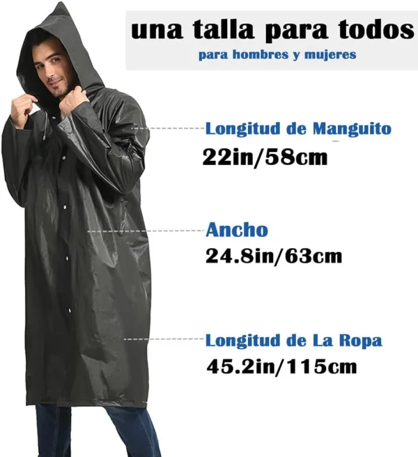BOrorjvS AC SL jpg