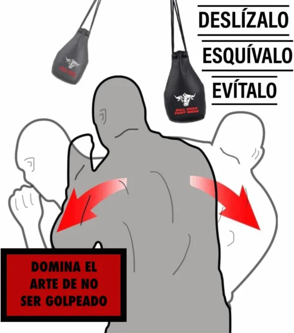 oQzriWSL AC SL jpg