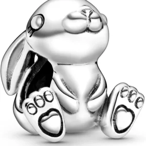 rAMFhgWS AC SL jpg