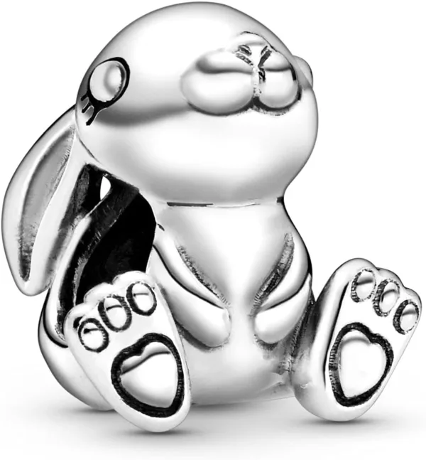 rAMFhgWS AC SL jpg