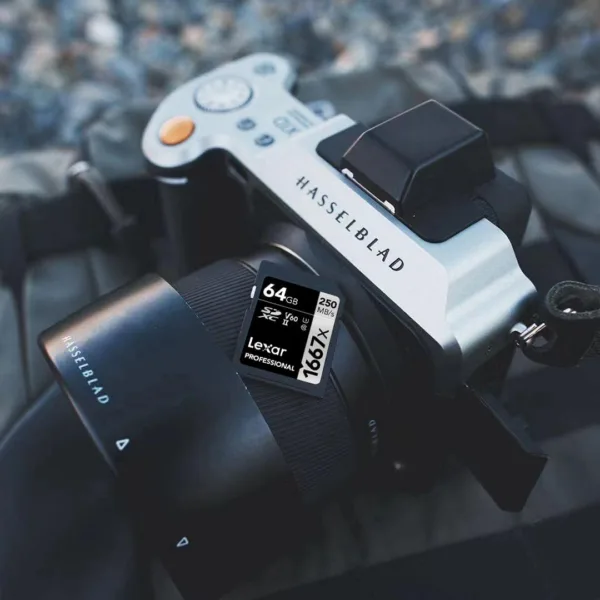 xctlxEDL AC SL jpg