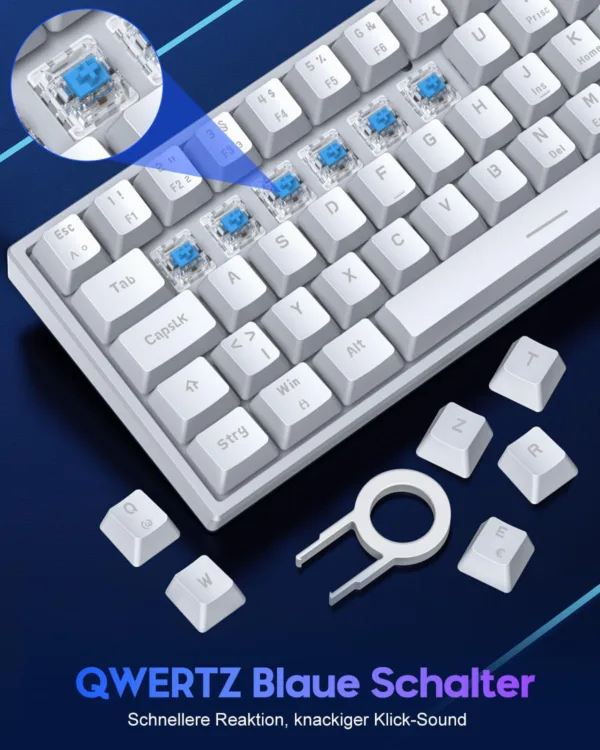 rVeaiYGL AC SL jpg
