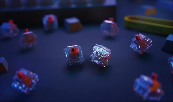 EucJL AC SL jpg