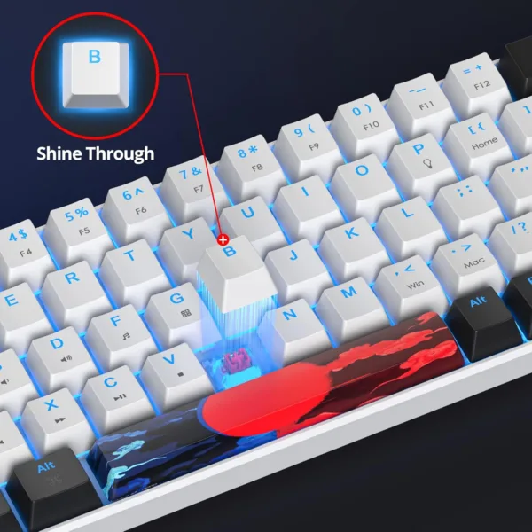uBedXVDbL AC SL jpg