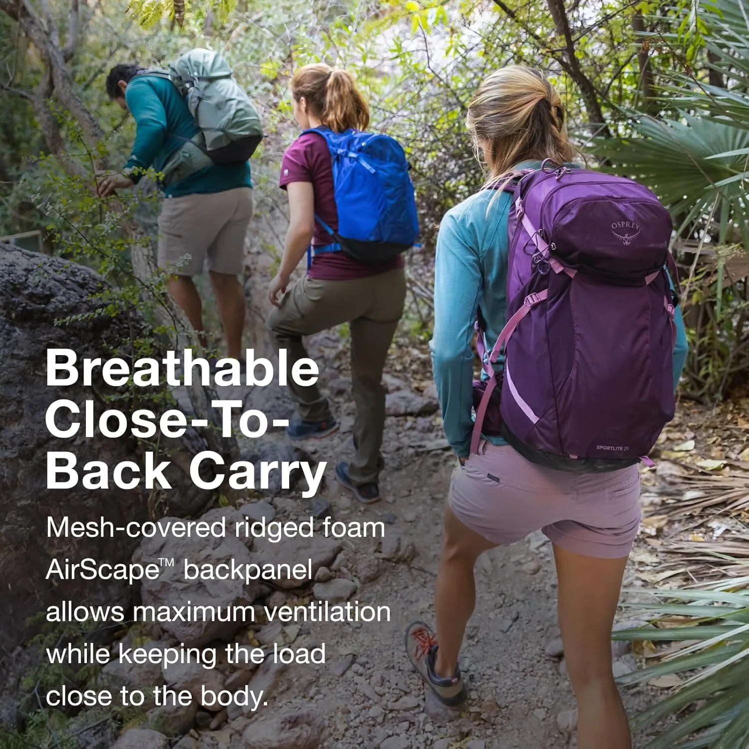 xktpNnL AC SL jpg - EncuentraOfertas.com xktpNnL AC SL jpg