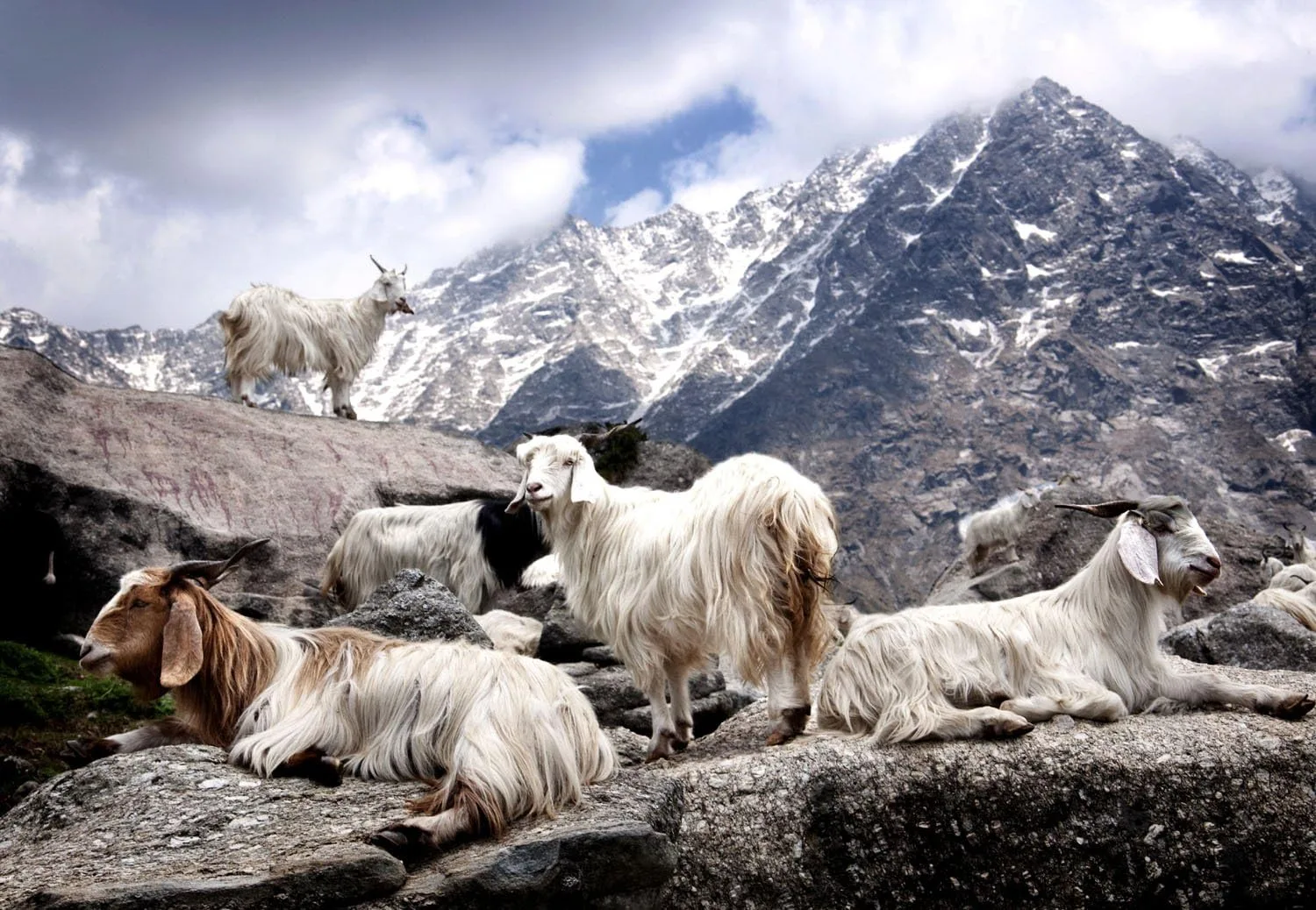 dndNWHEoL AC SL jpg - EncuentraOfertas.com dndNWHEoL AC SL jpg