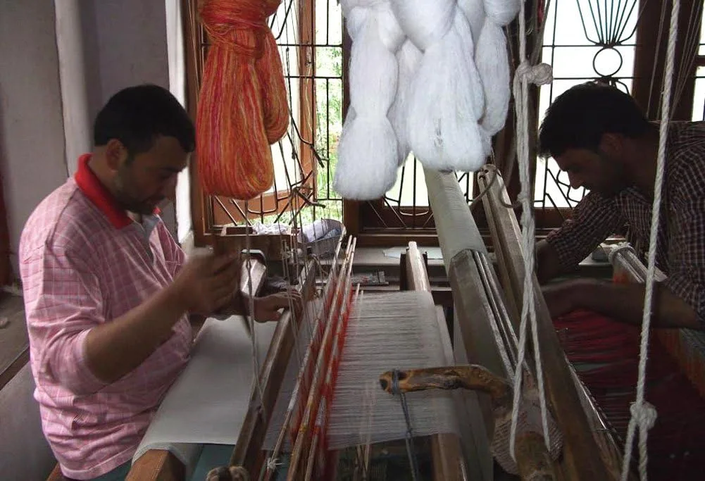 YxxPE sCL AC SL jpg - EncuentraOfertas.com YxxPE sCL AC SL jpg