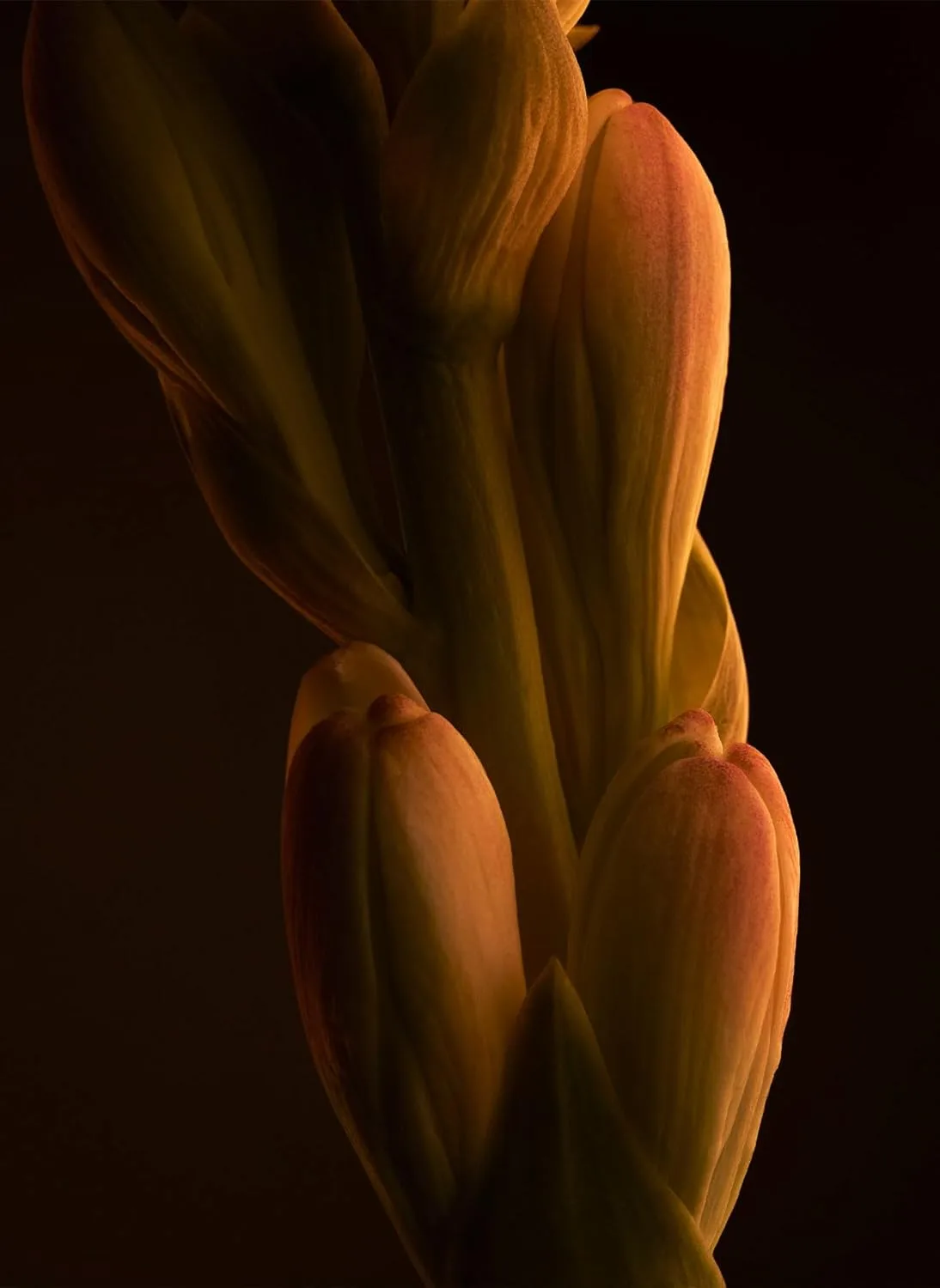 DpTAhJL AC SL jpg - EncuentraOfertas.com DpTAhJL AC SL jpg