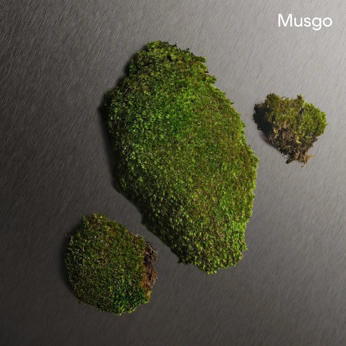 NXjEkXL AC SL jpg - EncuentraOfertas.com NXjEkXL AC SL jpg