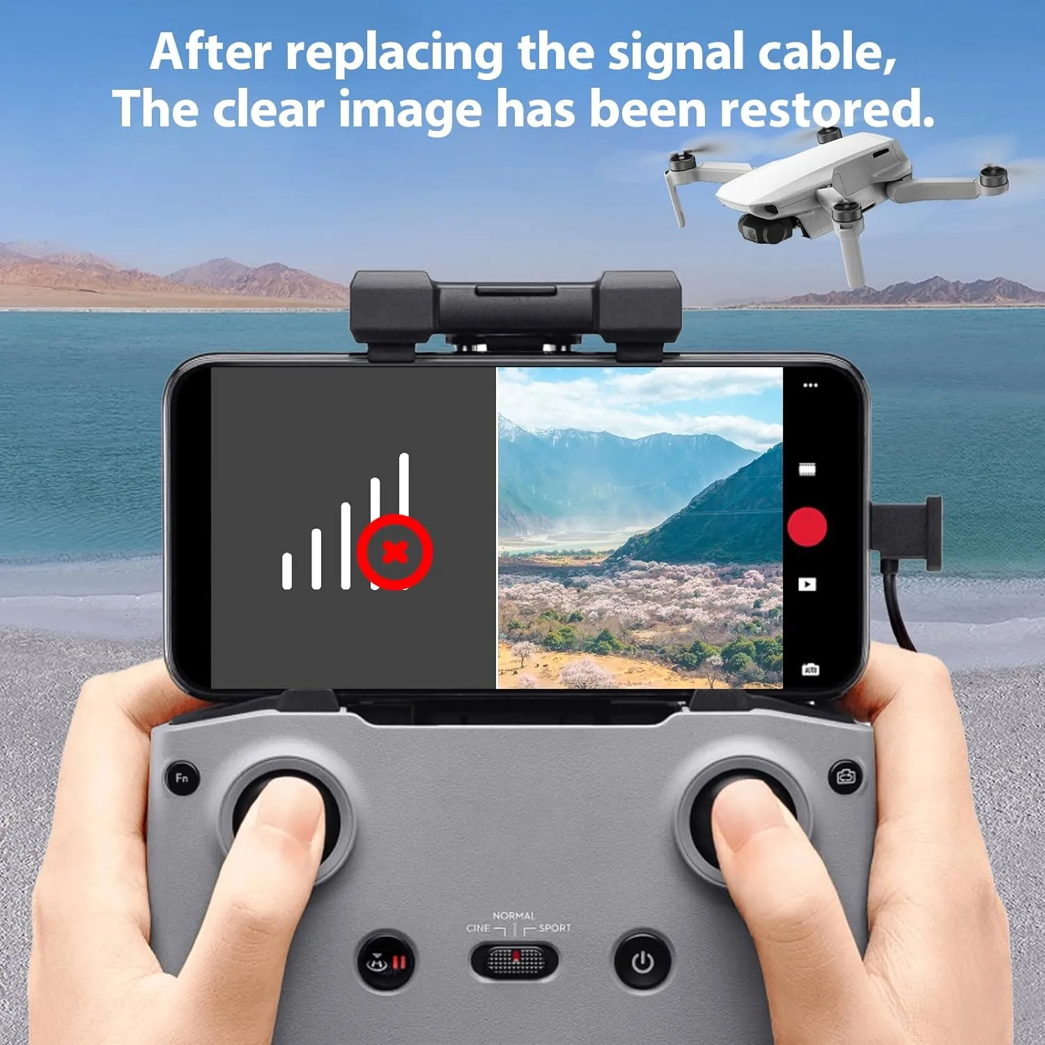 PxASh L AC SL jpg - EncuentraOfertas.com PxASh L AC SL jpg