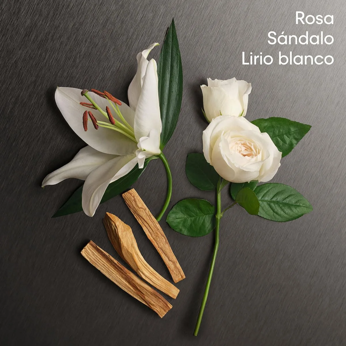 VPjbiKL SL jpg - EncuentraOfertas.com VPjbiKL SL jpg