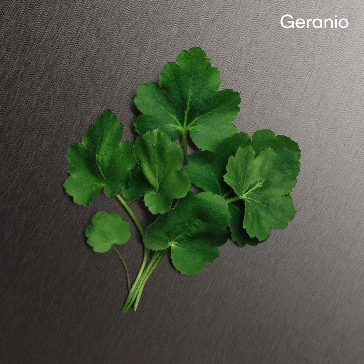 VRVjcL AC SL jpg - EncuentraOfertas.com VRVjcL AC SL jpg