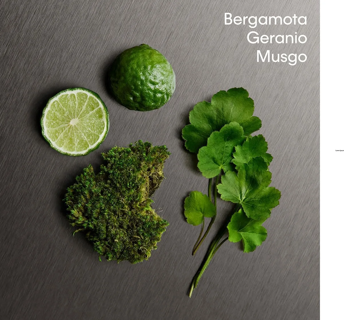 qfvfjL AC SL jpg - EncuentraOfertas.com qfvfjL AC SL jpg