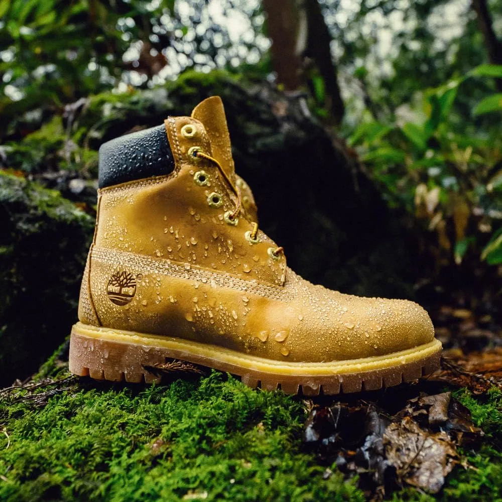 vvC DtrxL AC SL jpg - EncuentraOfertas.com vvC DtrxL AC SL jpg