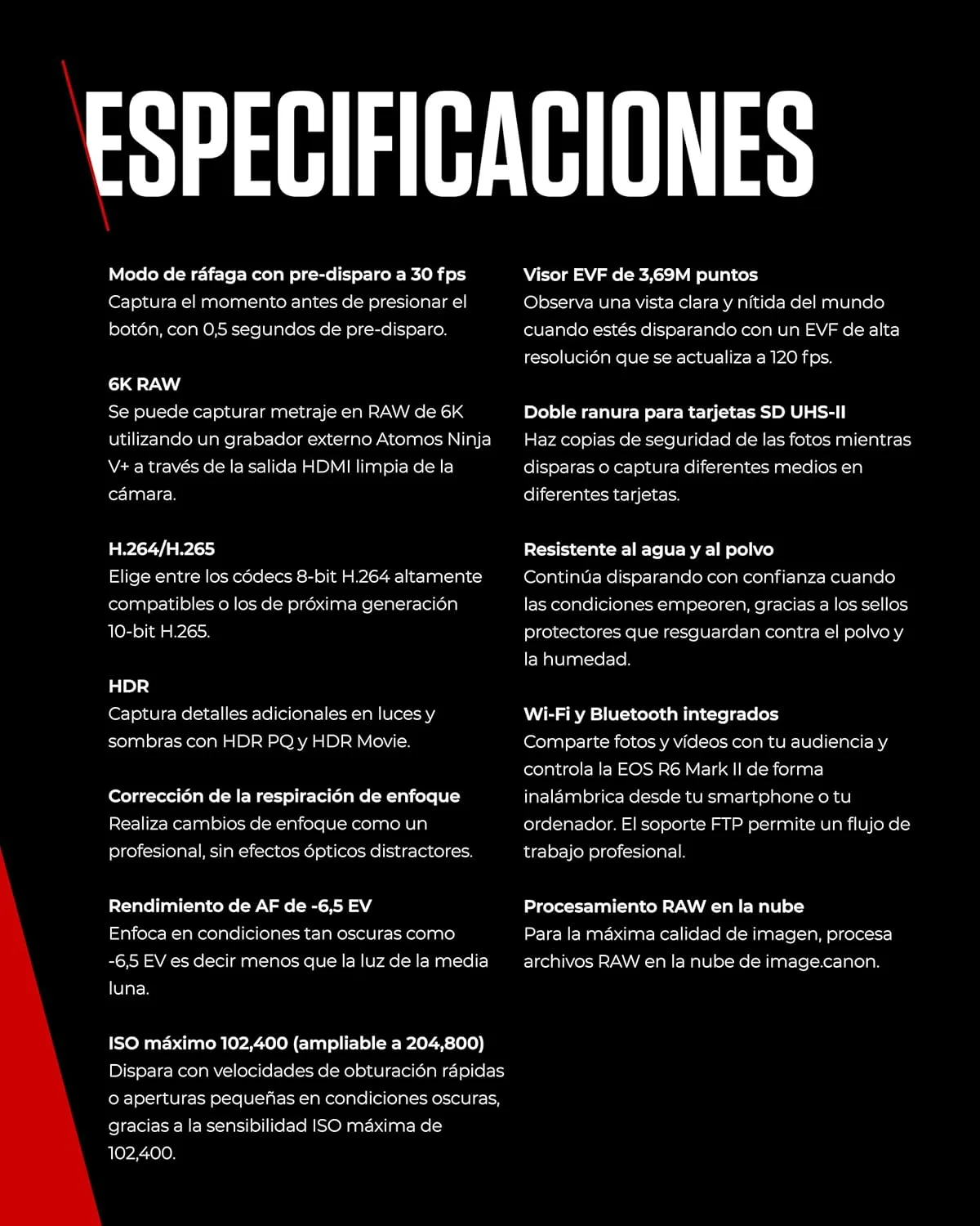 RmLBgxFGL AC SL jpg - EncuentraOfertas.com RmLBgxFGL AC SL jpg