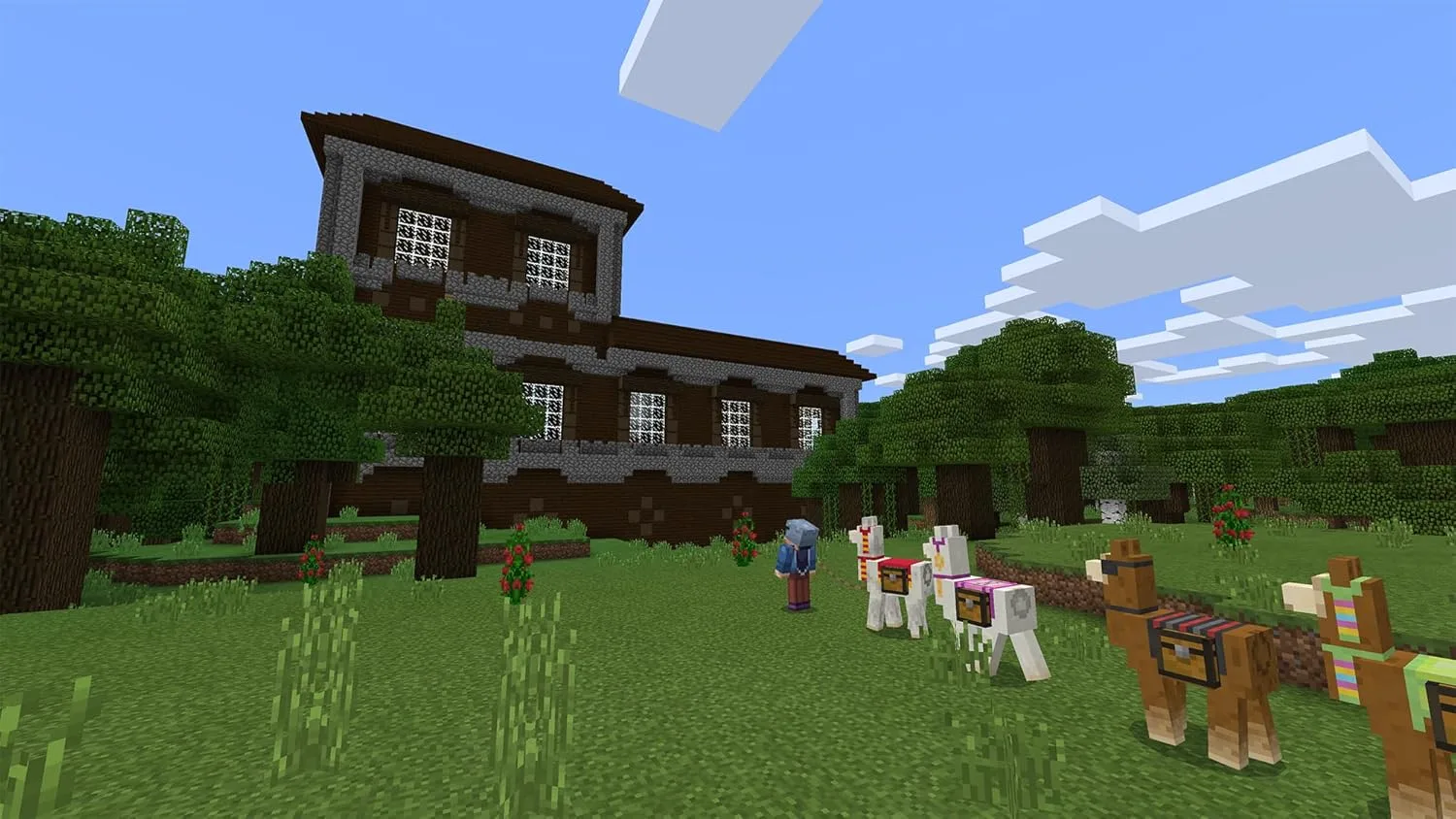 USvnzrAL AC SL jpg - EncuentraOfertas.com USvnzrAL AC SL jpg