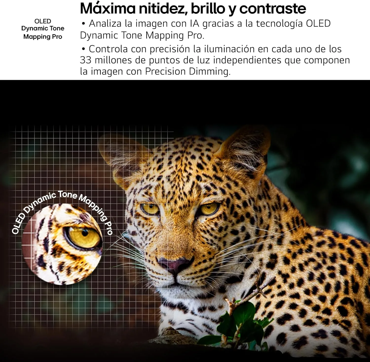 hJRyYTtlL AC SL jpg - EncuentraOfertas.com hJRyYTtlL AC SL jpg