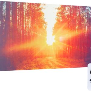 Klarstein Infrared Wall Radiator Power 720W, Low Consumption Heat Plate, Low Consumption Radiant Panel, Infrared Heating Panel, Infrared Heaters Panel Radiant Wall