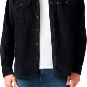 Levi's Big & Tall Graphic Hoodie Men