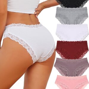 Women's Cotton Underwear Lace Brazilian Hipster Lace Panties Pack of 6 S-2XL